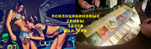 ГАЛЛЮЦИНОГЕННЫЕ ГРИБЫ Аркадак