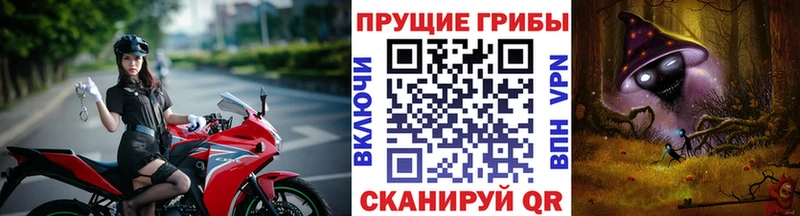 Галлюциногенные грибы Psilocybe  Ступино 